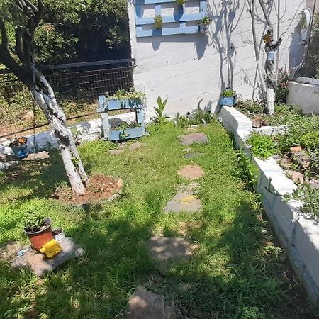 VlachiaΤο Σπίτι Της Ελένηςアパートメント エクステリア 写真