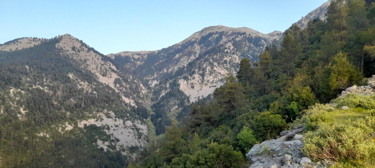 VlachiaΤο Σπίτι Της Ελένηςアパートメント エクステリア 写真