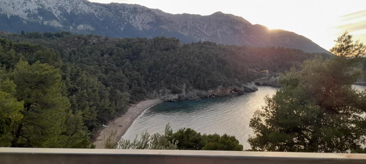 VlachiaΤο Σπίτι Της Ελένηςアパートメント エクステリア 写真