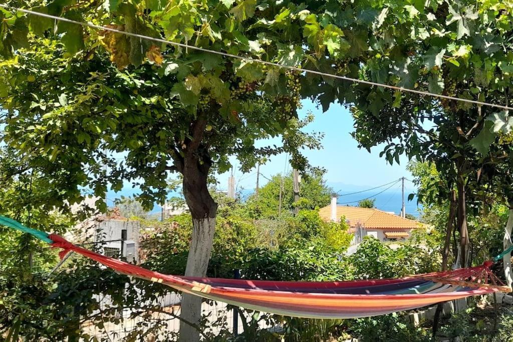 VlachiaΤο Σπίτι Της Ελένηςアパートメント エクステリア 写真
