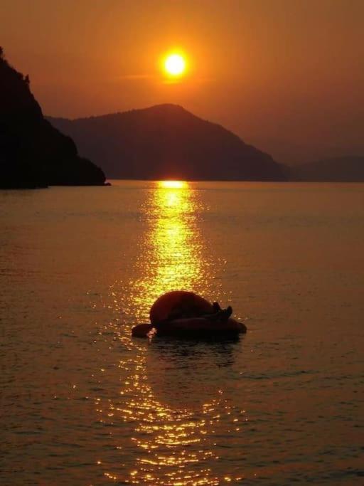 VlachiaΤο Σπίτι Της Ελένηςアパートメント エクステリア 写真