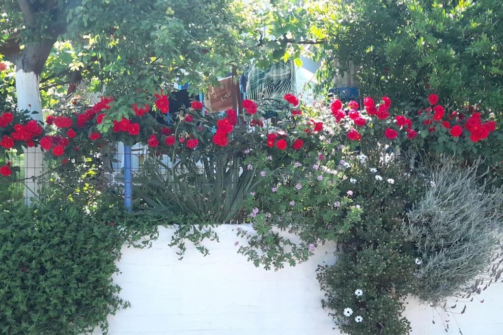 VlachiaΤο Σπίτι Της Ελένηςアパートメント エクステリア 写真