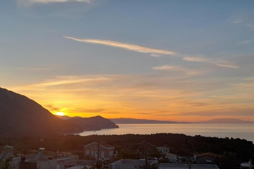 VlachiaΤο Σπίτι Της Ελένηςアパートメント エクステリア 写真