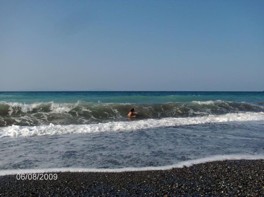 VlachiaΤο Σπίτι Της Ελένηςアパートメント エクステリア 写真