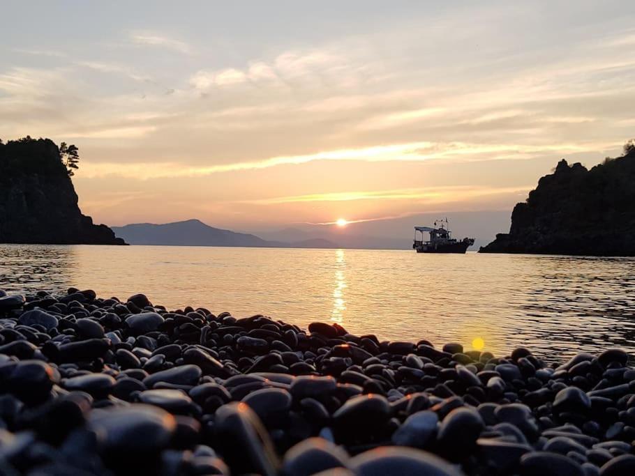 VlachiaΤο Σπίτι Της Ελένηςアパートメント エクステリア 写真
