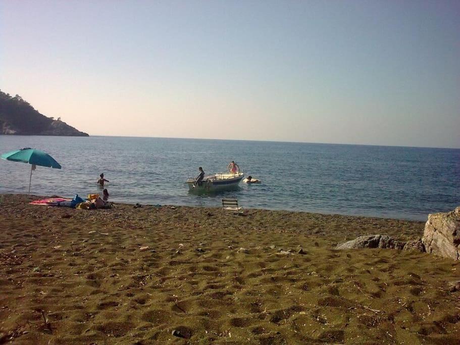 VlachiaΤο Σπίτι Της Ελένηςアパートメント エクステリア 写真