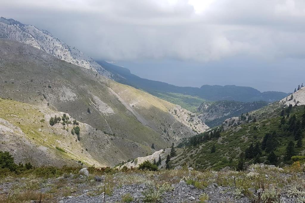 VlachiaΤο Σπίτι Της Ελένηςアパートメント エクステリア 写真