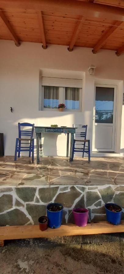 VlachiaΤο Σπίτι Της Ελένηςアパートメント エクステリア 写真