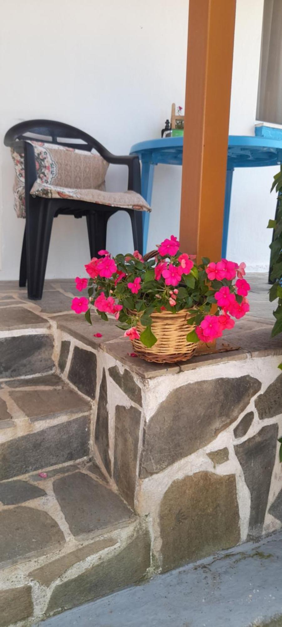 VlachiaΤο Σπίτι Της Ελένηςアパートメント エクステリア 写真